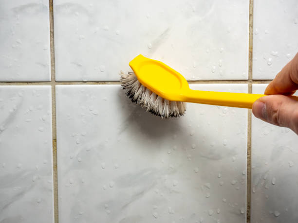 Best Office Mold Removal Services  in Ridgecrest, CA