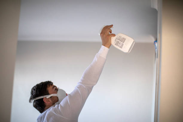 Best Residential Mold Removal  in Ridgecrest, CA