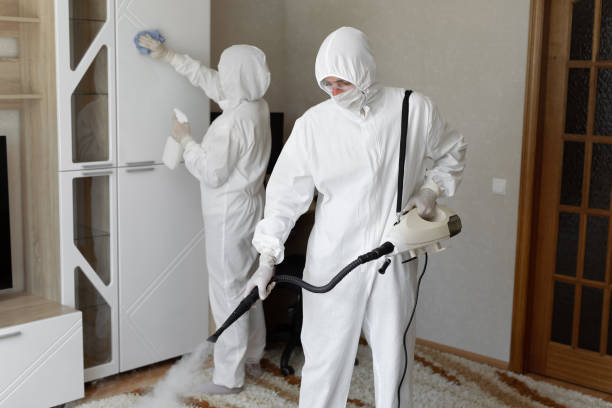Best Best Mold Removal Companies  in Ridgecrest, CA